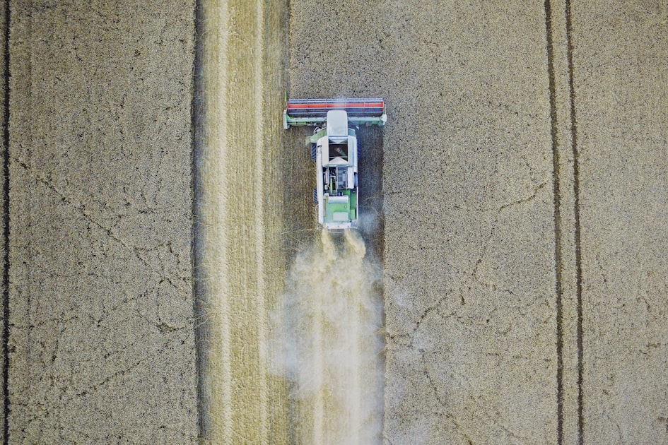 Sustainable Practices in Agriculture